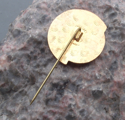 1992 Czech Army Winter Exercise Liptovsky Mikulas Military Pin Badge - Badgecrazy