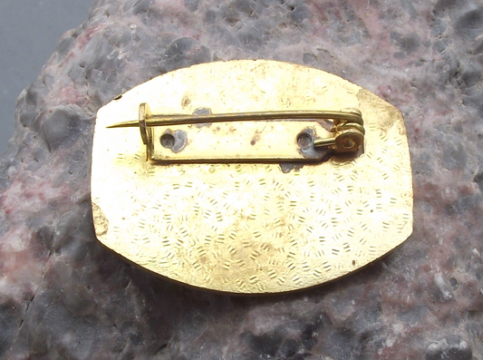 1978 Czechoslovakia 3rd Winter Tourist Meeting CSTV Skiing Pin Badge - Badgecrazy