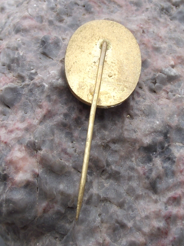 Vintage Frenstat pod Radhostem Ski Jump Jumping Grand Prix Pin Badge