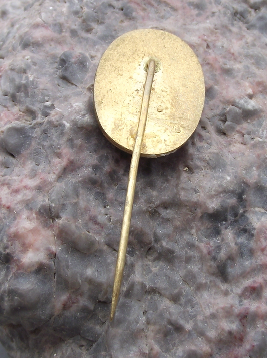 Vintage Frenstat pod Radhostem Ski Jump Jumping Grand Prix Pin Badge - Badgecrazy