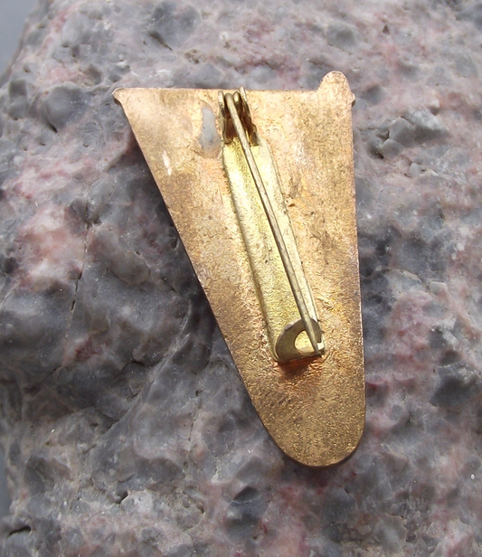 Vintage Czechoslovakia Velka Fatra Skiing Expedition National Park Pin Badge - Badgecrazy