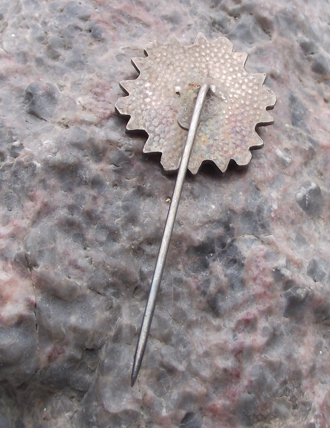 Vintage Czech National Flag Snowflake Skiing Pin Badge - Badgecrazy