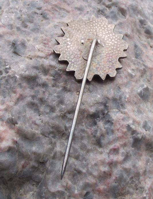 Vintage Czech National Flag Snowflake Skiing Pin Badge - Badgecrazy