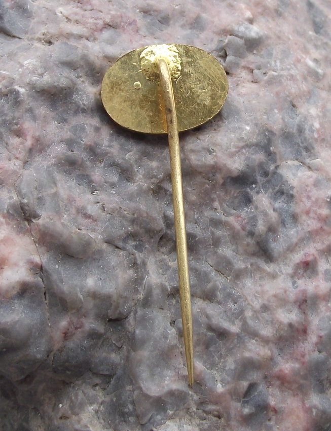 1974 Czechoslovakia Harrachov Skiing Competition Pin Badge