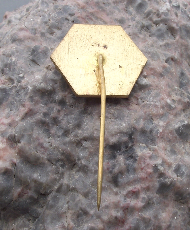Vintage Czechoslovakia Beskydy Beskyd Sport Snowcat Ski Resort Pin Badge