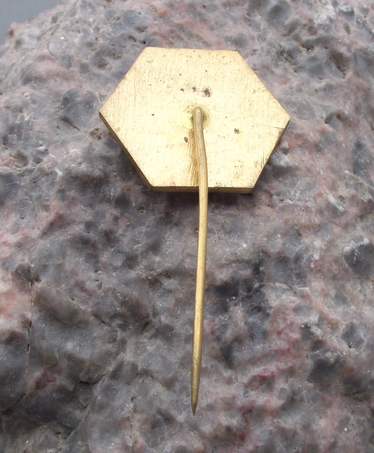 Vintage Czechoslovakia  Beskydy Beskyd Sport Snowcat Ski Resort Pin Badge