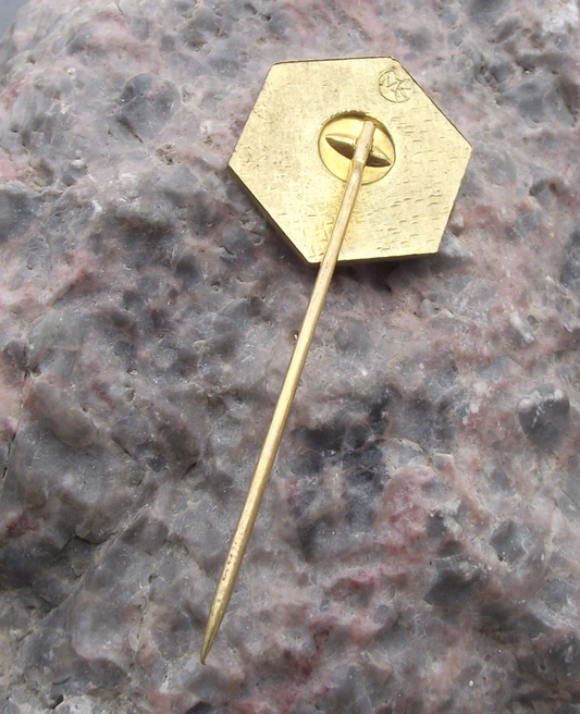 Vintage SNP Slovak National Uprising Cross Country Skiing Ski Race Pin Badge - Badgecrazy