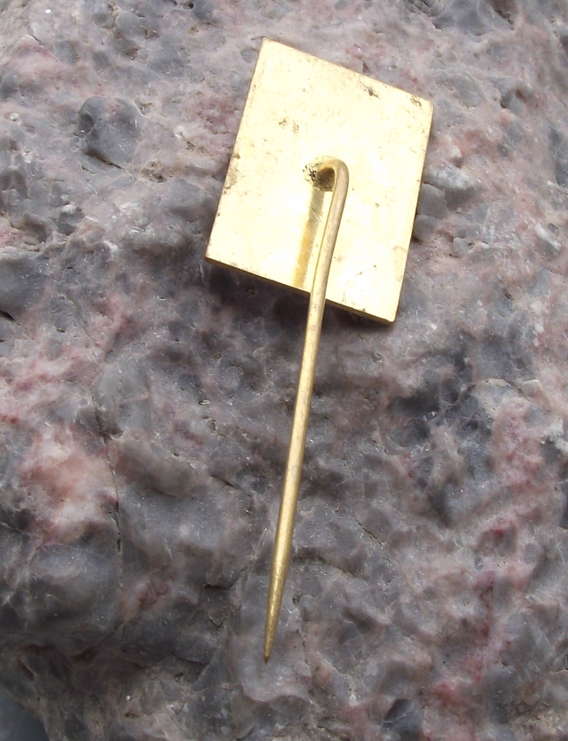 Vintage Czech National Flag Cross Country Skiing Pin Badge - Badgecrazy