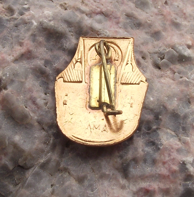 Vintage Smolny Institute Saint Petersburg Lenin Bolshevik HQ Pin Badge