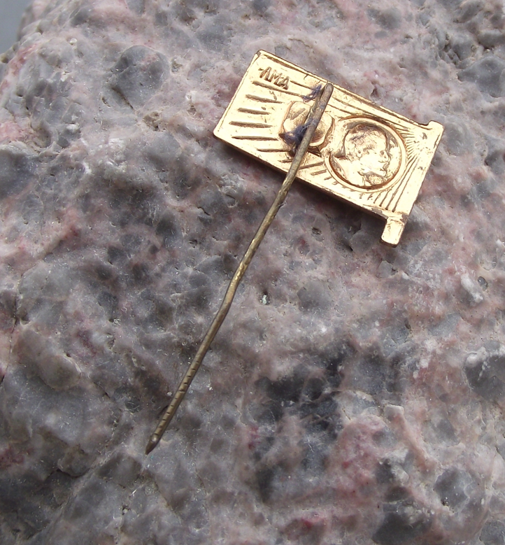 Vladimir Lenin Head Profile Communist Leader on Red Flag Pin Badge