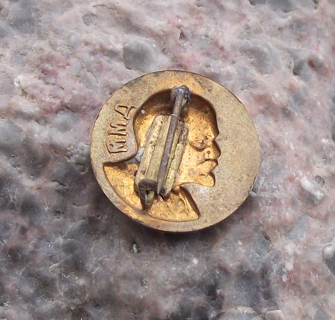 Vintage Vladimir Lenin Head Soviet Leader Laurel Leaves Green Field Pin Badge