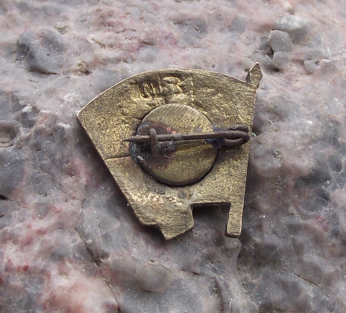 Vintage Komsomol Soviet Communist Youth VI Lenin on Russian Red Flag Pin Badge