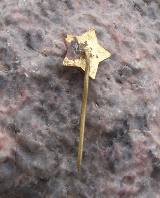 1970 Lenin Head Profile Communist Leader Gold Star Shaped Pin Badge