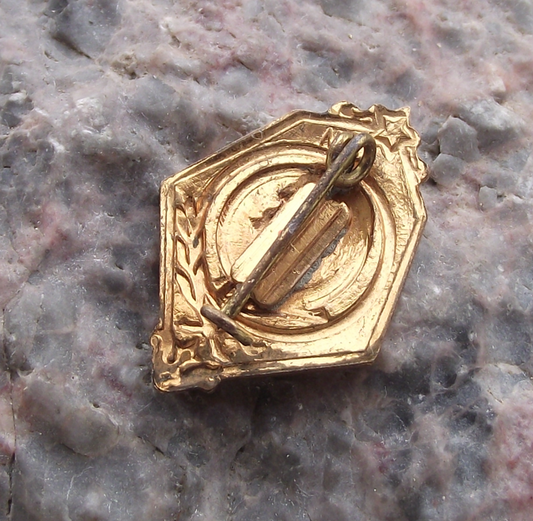 Vladimir Lenin Russian Marxist Revolutionary & Communist Politician Badge