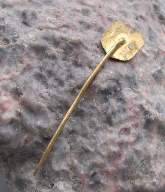 Vintage Prague Smichov Czechoslovakia Fishing Association Catfish Pin Badge
