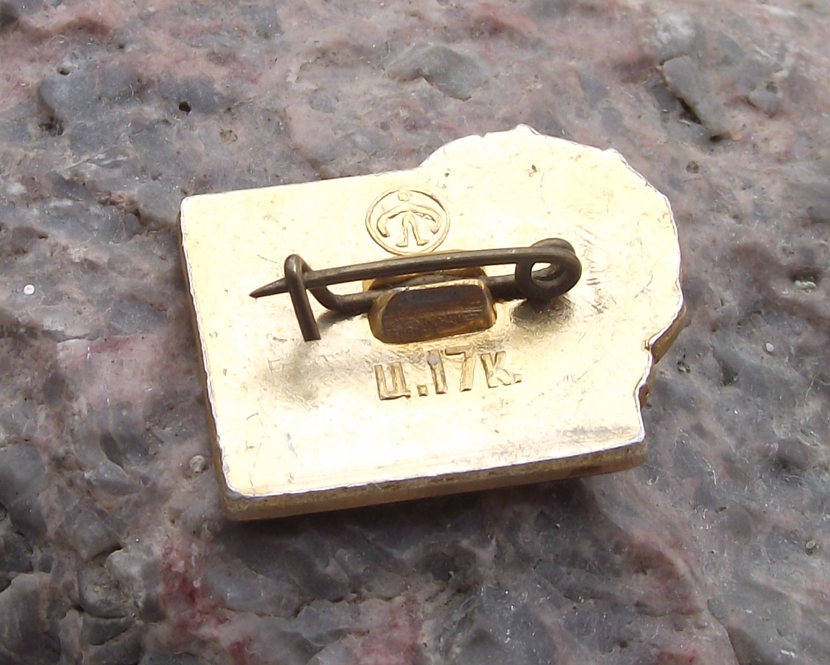 Vintage Order of Lenin Hydroelectric dam Zaporizhzhia Ukraine Pin Badge