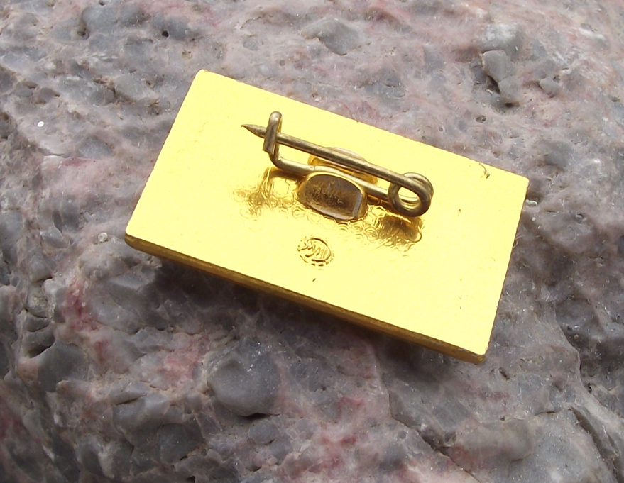 Vintage Order of Lenin Dnieper Hydroelectric Station Dam Ukraine Pin Badge - Badgecrazy