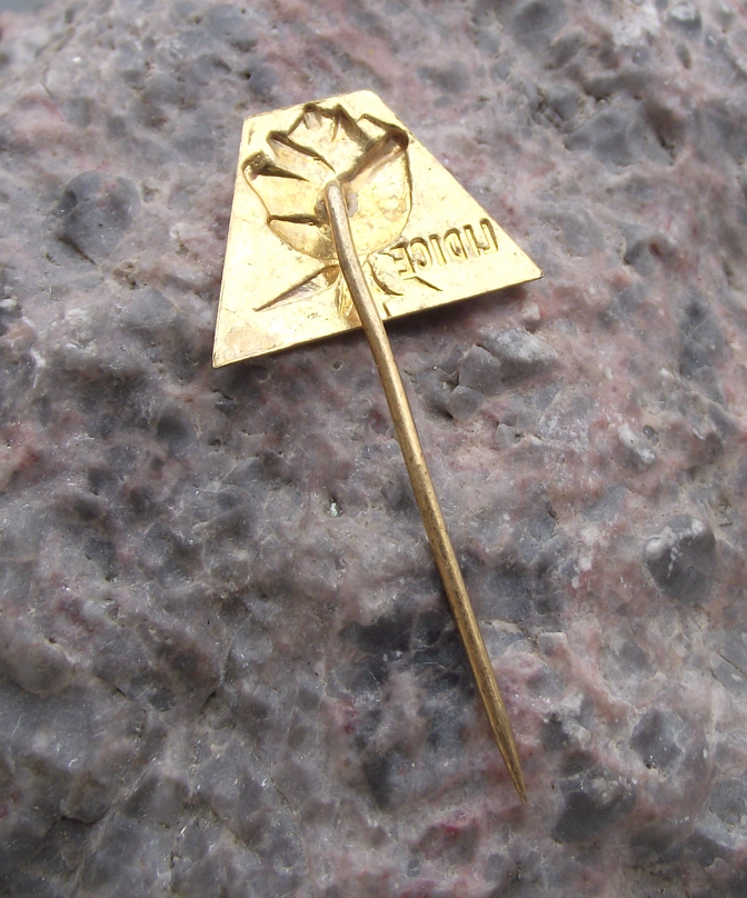 Vintage Metal Remembrance Rose for Lidice Destroyed 1942 by SS Troops Pin Badge - Badgecrazy