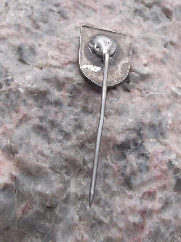 Vintage Lidice Rose Memorial Erased Czech Village Ring of Thorns Pin Badge - Badgecrazy