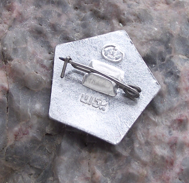 Vintage Vladimir VI Lenin Socialist Revolutionary Pentagonal Pin Badge