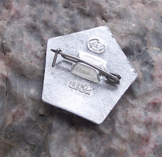 Vintage Vladimir VI Lenin Socialist Revolutionary Pentagonal Pin Badge