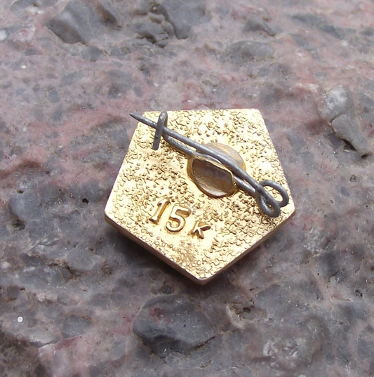 Vintage Vladimir VI Lenin Socialist Revolutionary Red Pentagonal Pin Badge
