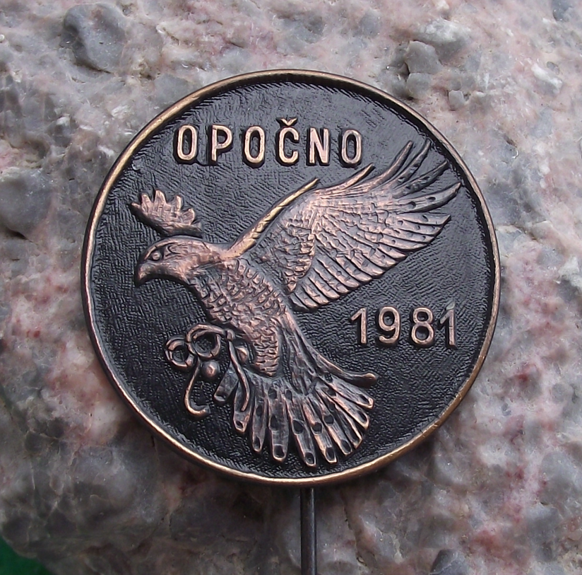 1981 Opocno Czech Falconry Association Meeting Eagle Falcon Pin Badge