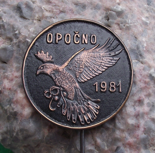 1981 Opocno Czech Falconry Association Meeting Eagle Falcon Pin Badge
