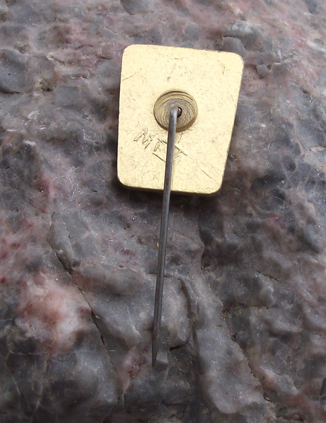 Vintage Ustka Heraldic Crest Polish City Town Poland Pin Badge - Badgecrazy