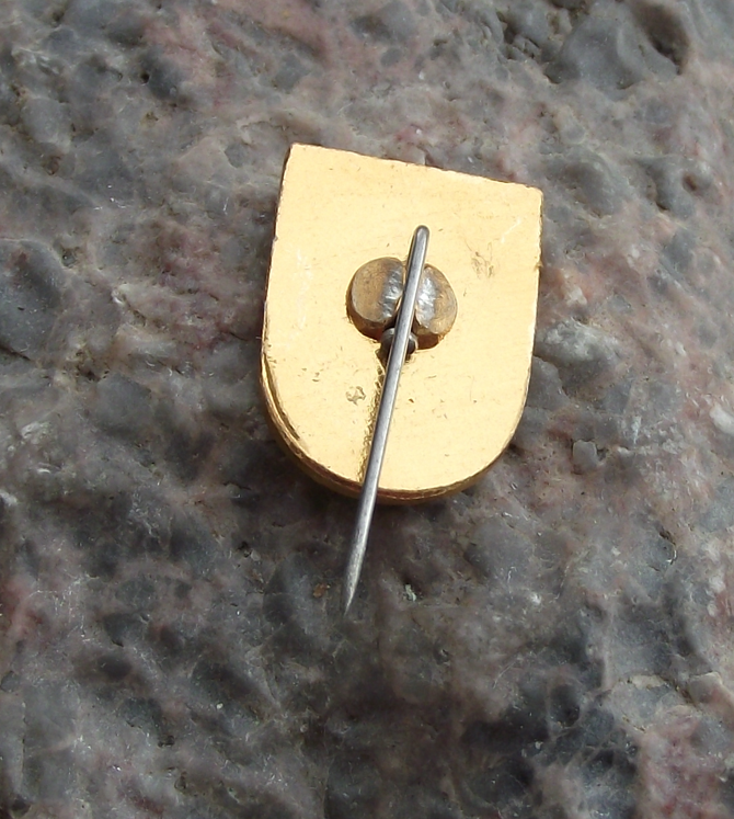 Vintage Pieniezno Heraldic Crest Polish City Town Poland Pin Badge - Badgecrazy