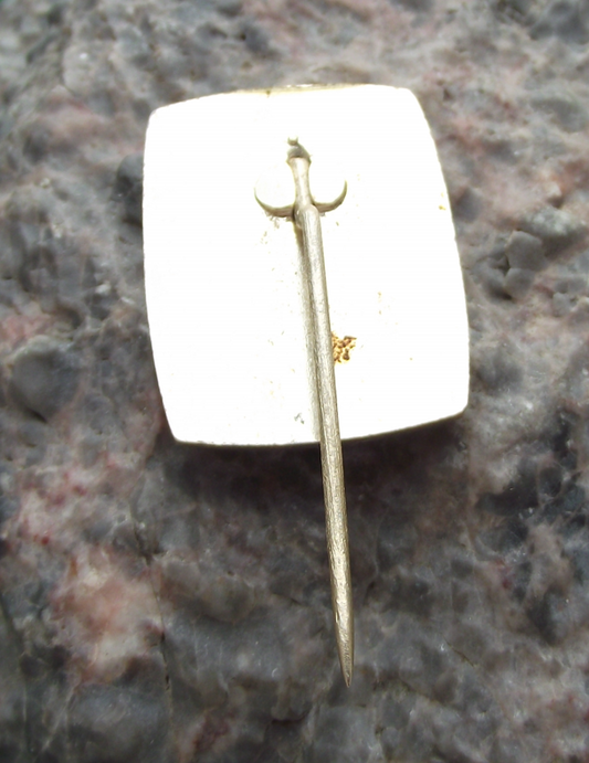 1976 National Miners and Energy Workers Day Mining Trade Union Pin Badge - Badgecrazy