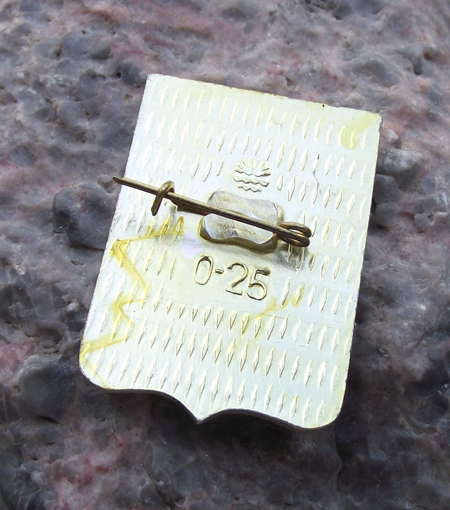 Vintage Sevastopol Crimea Region Ukraine Heraldic Crest Russian Pin Badge - Badgecrazy