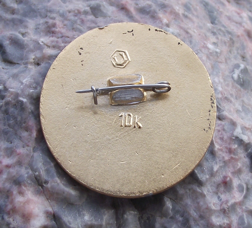 1965 Molniya Satellite Program Soviet Space Mission Pin Badge - Badgecrazy