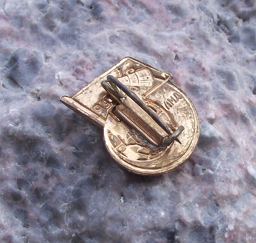 1958 Sputnik 3 Earth Orbit Satellite Soviet CCCP Space Probe Mission Pin Badge