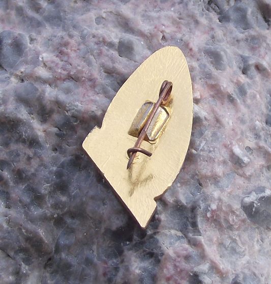 1962 Official Vostok 3 Mission Logo Rocket Blast Off Space Photographs Pin Badge - Badgecrazy