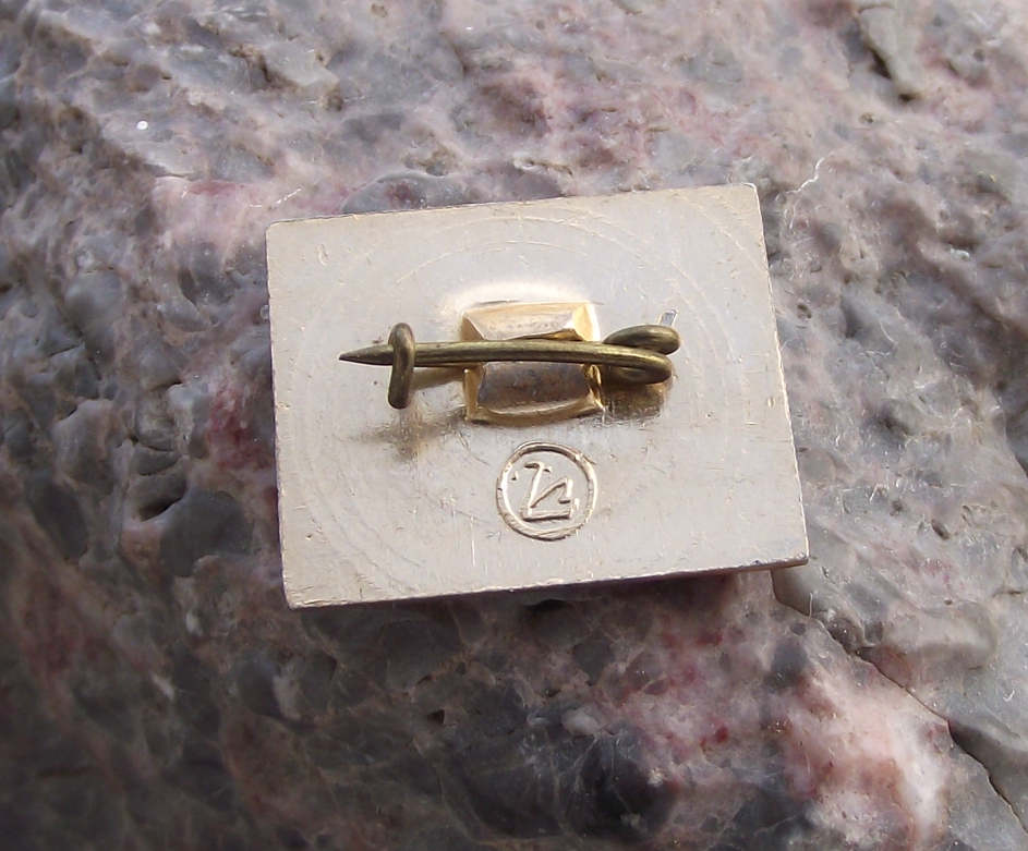 Vintage International Day of Human Space Flight 12th April Pin Badge - Badgecrazy