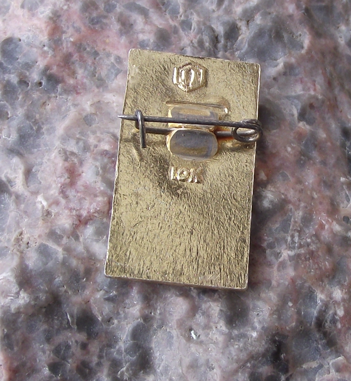 1970 V I Lenin Head Centenary 100th Anniversary of 1870 Birth Pin Badge - Badgecrazy