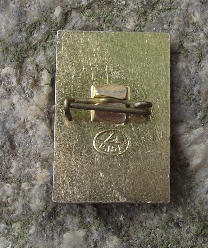 Vintage Lenin Russian Soviet Union Communist Politician Book Pin Badge