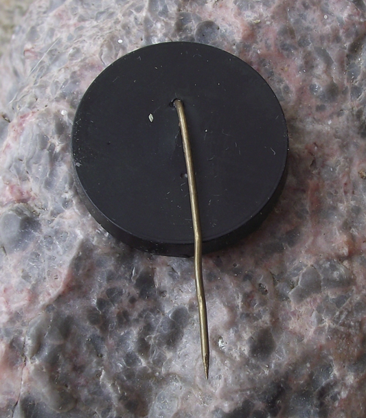 Vintage Czech Hunters Association Flying Duck Nature Hunting Pin Badge