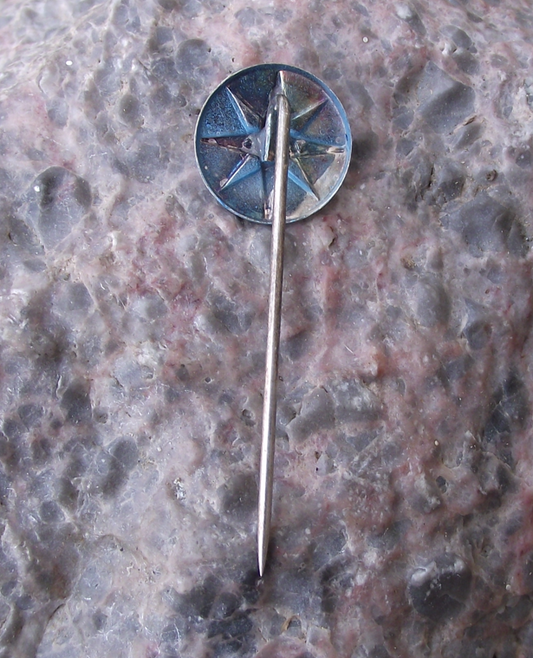 Vintage 1960's Varig Brazilian Airlines Brasil Brazil Star Logo Pin Badge