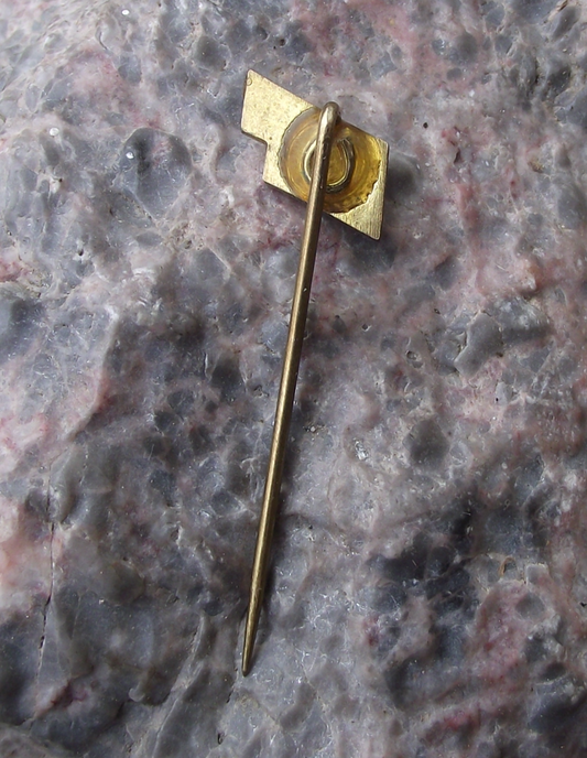Vintage East German DDR GDR Airlines Interflug IF Logo Aircraft Pin Badge