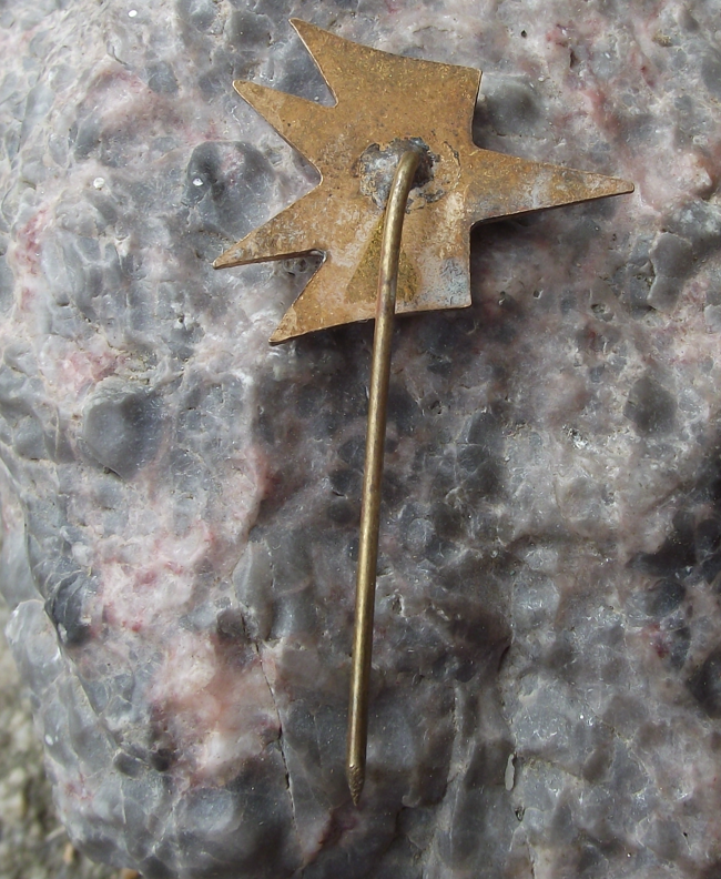 Vintage Bulgaria National Airlines Tabso Balkan Winged Star Pin Badge