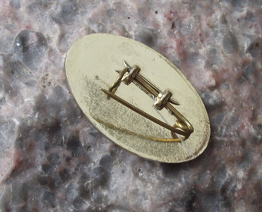 Vintage CAAC Civil Aviation Administration of China Aircraft Pin Badge