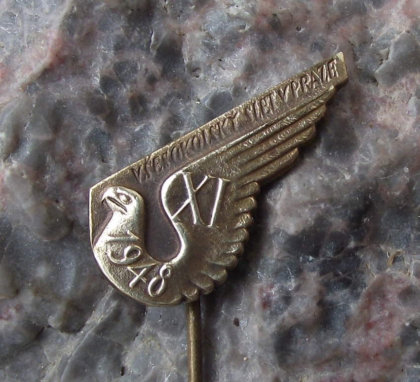 1948 Sokol Slet Falcon Mass Gymnastics Event Prague Celebration Pin Badge