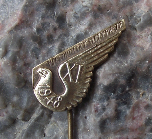 1948 Sokol Slet Falcon Mass Gymnastics Event Prague Celebration Pin Badge - Badgecrazy