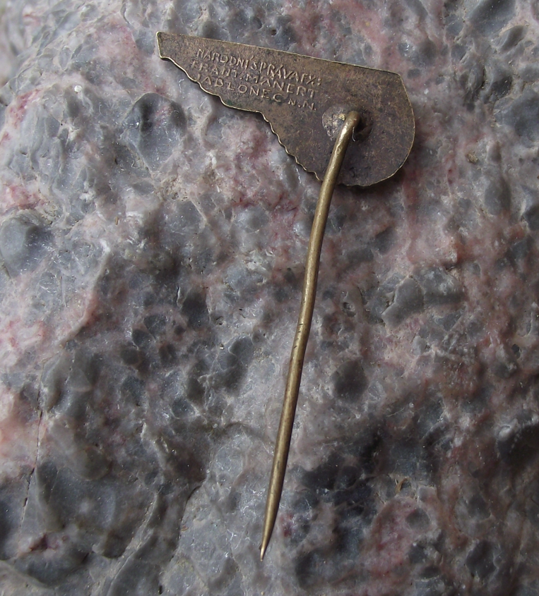 1948 Sokol Slet Falcon Mass Gymnastics Event Prague Celebration Pin Badge
