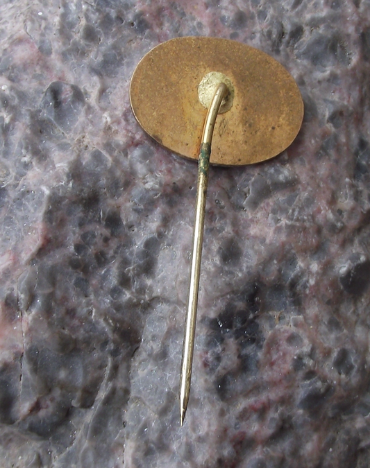 1980 Czech Spartakiad Mass Gymnastics Event Prague Zizkov Pin Badge