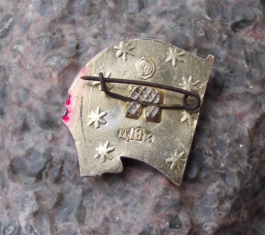 Vintage Vladimir Lenin Head and Red Flag of Socialism Pin Badge