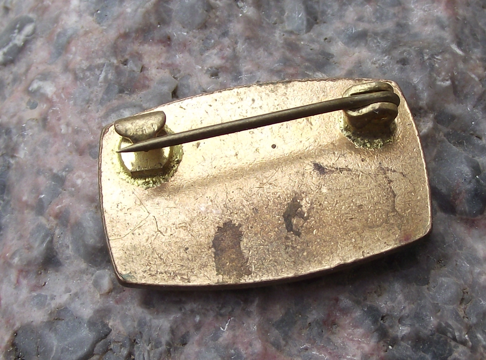 1979 CSZ Czechoslovakia Womens Union Official Conference Pin Badge - Badgecrazy