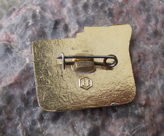 1970 Vladimir Lenin 5th DOSAAF Military Spartakiad Russia Pin Badge